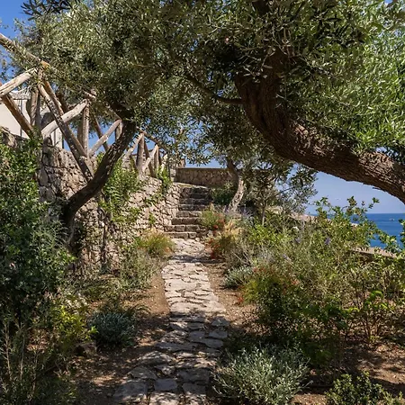 Villa Neranite Bay Views Pool & Jacuzzi